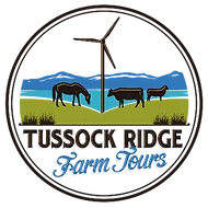 Tussock Ridge Farm Tours